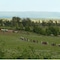 Parade Rest Ranch - map