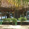 Adonys Eden Lodge - map