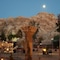 Little Petra Bedouin Camp - map