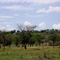 Mbalageti Serengeti - map