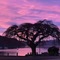 Piwaka Lodge And Backpackers - map