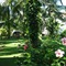 Four Oceans Resort Muine - map