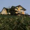 Dewy Cottage Nuwara Eliya - map
