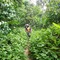 Explorer By Eco Team - Sinharaja - map