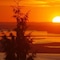 The Fraser River's Edge B&B Lodge - map