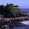 Zen Villa Bali - map