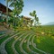 Jiwa Jawa Resort Ijen - map