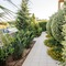 Lavender Villas Chania - map