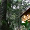 Chalé Da Floresta - map