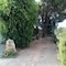 B&B Il Vigneto - map
