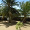Kite Bay Resort Kalpitiya - map
