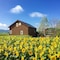 Country Cottage Wakiaiai - map