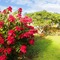 Trade Winds Country Cottages - map