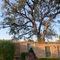 The Tree Of Life Resort & Spa, Varanasi - map