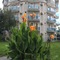 Rios Latte Beach Hotel - map