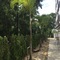 Bangkok Boutique Resort Rangsit - map