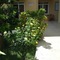 Caner Hotel - map