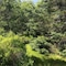 Moose Lodge And Cabins By Bretton Woods Vacations - map