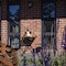Daylesford Art Motel - map