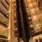Warwick Al Khobar - map