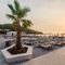 Apartments Arla Exclusive - map