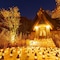 Le Grand Karuizawa Hotel&Resort - map