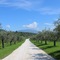 Borgo Romantico Green Relais - map