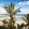 El Dorado Maroma, All & More Inclusive - Adults Only - map
