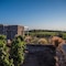 Castellaro Wine Resort - map