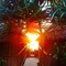 Zanzibar Sunrise At Bandas - map