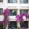 Payam Hotel - map