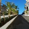 Palm Tree Hill - map