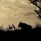 African Spirit Game Lodge - map