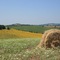 Podere Maremma Spa & Ristorante - map