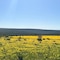 Simbavati Cederberg Ridge - map