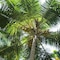 Lime Cabanas Sri Lanka - map