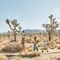 Autocamp Joshua Tree - map