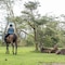 Lake Naivasha Sopa Resort - map