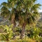 Istia Luxury Villas - map