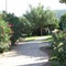 Parco Blu Club Resort - map