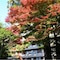Okuyugawara Onsen Sansuirou - map