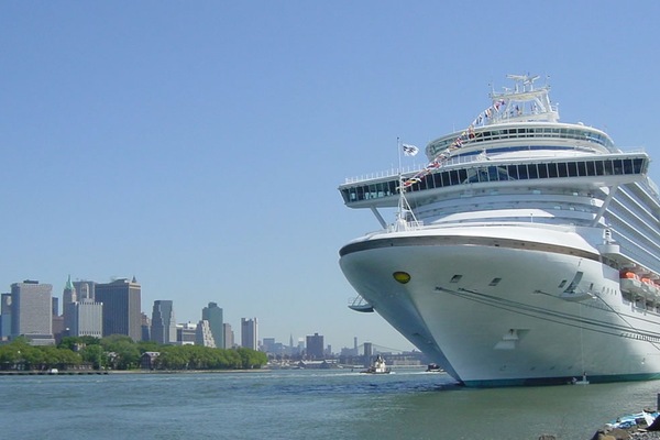 Kuva  Crown Princess 24
