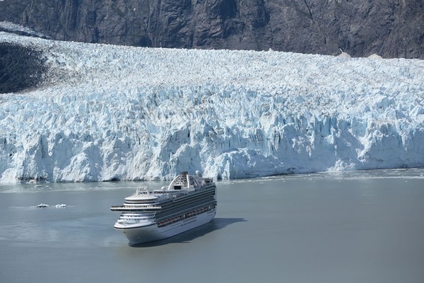 Kuva  Crown Princess 15