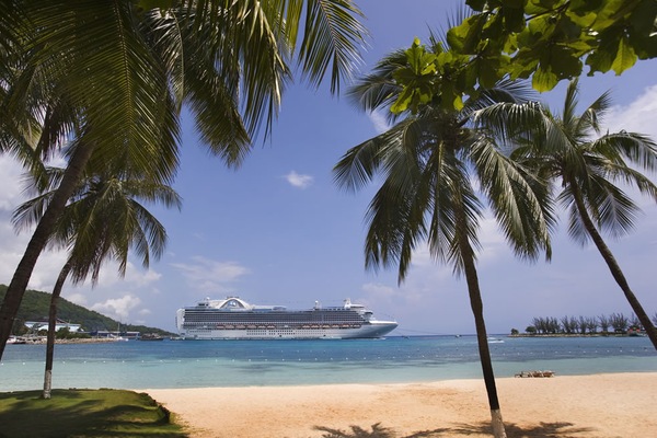 Kuva  Crown Princess 16