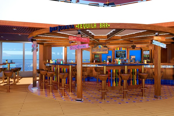 Kuva  Carnival Vista 43