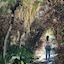 Hacienda San Jorge