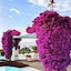 Augusta Eco Wellness Resort