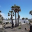 Palmeras Garden
