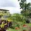 Arenal Vista Lodge