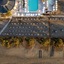 Domes Aulus Zante, Autograph Collection